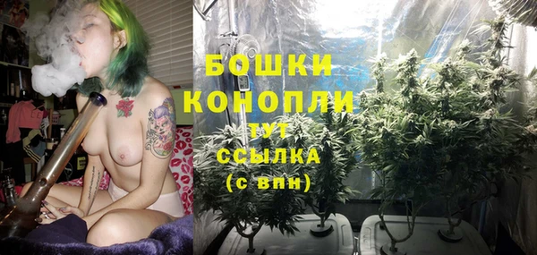 спайс Гусь-Хрустальный