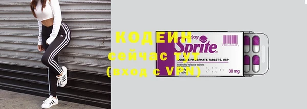 спайс Гусь-Хрустальный