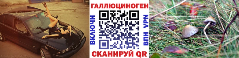 hydra ссылка  закладки  Олёкминск  Галлюциногенные грибы Psilocybine cubensis 